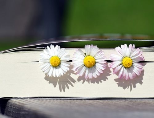 Spring Ahead with Kindle Best Books for Spring!